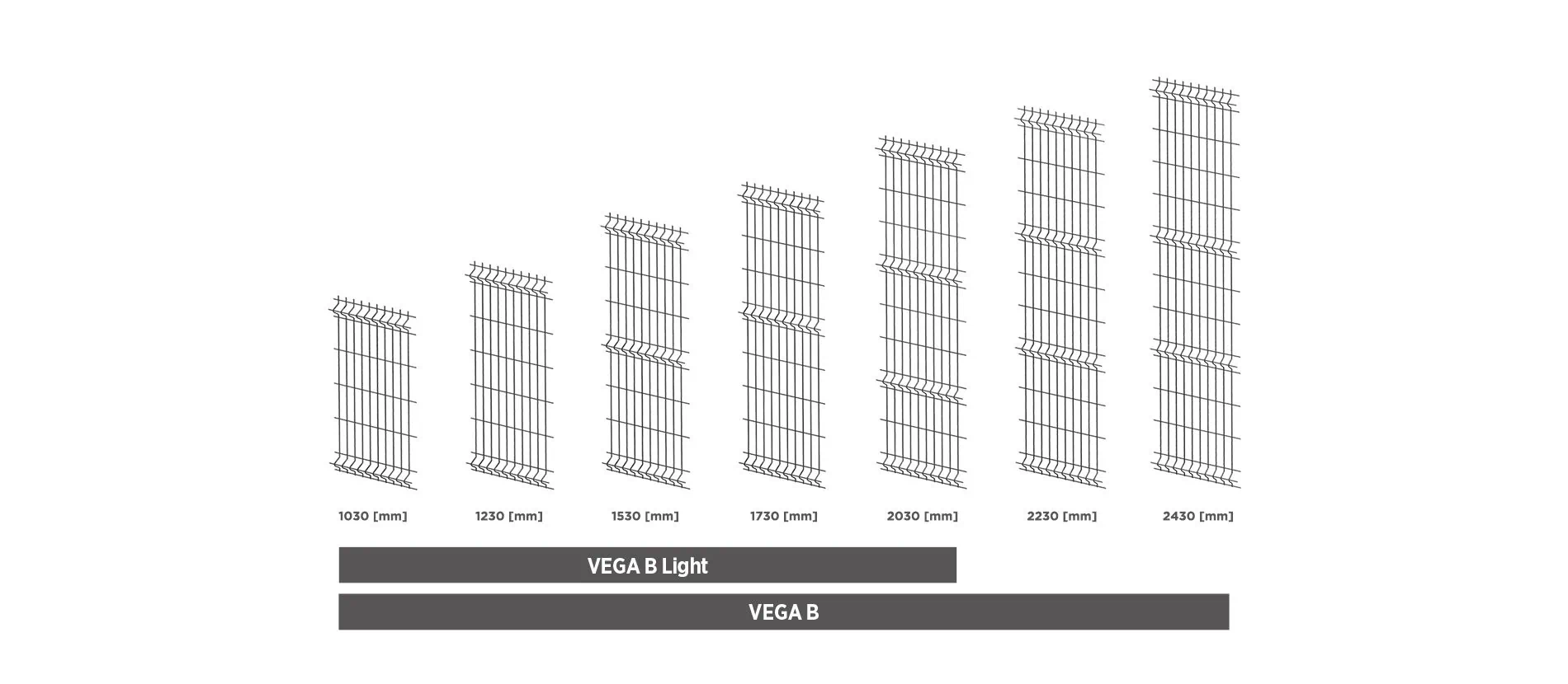 vega-b-1